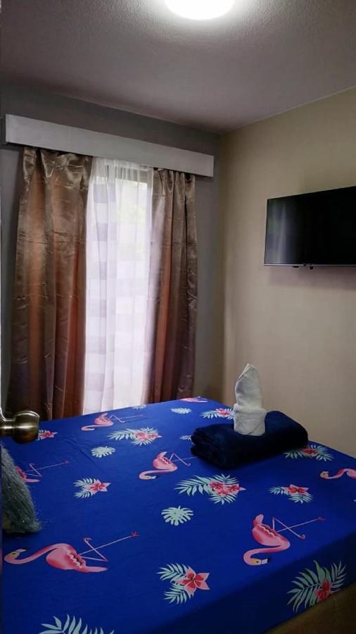 One Oasis Cdo Apartment
